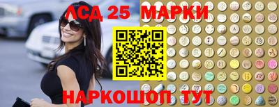 ALPHA PVP Гай
