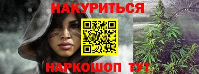 ALPHA PVP Гай