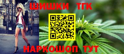 хмурый Гатчина