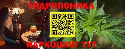 ALPHA PVP Гай