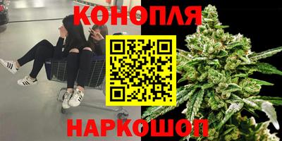 хмурый Гатчина