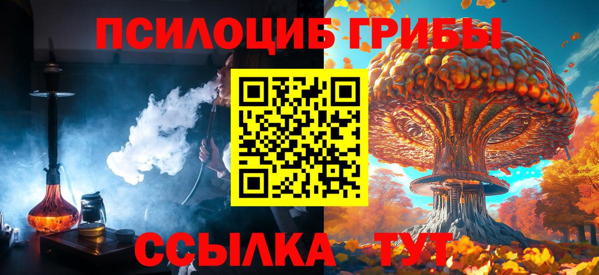Псилоцибиновые грибы ЛСД Нурлат